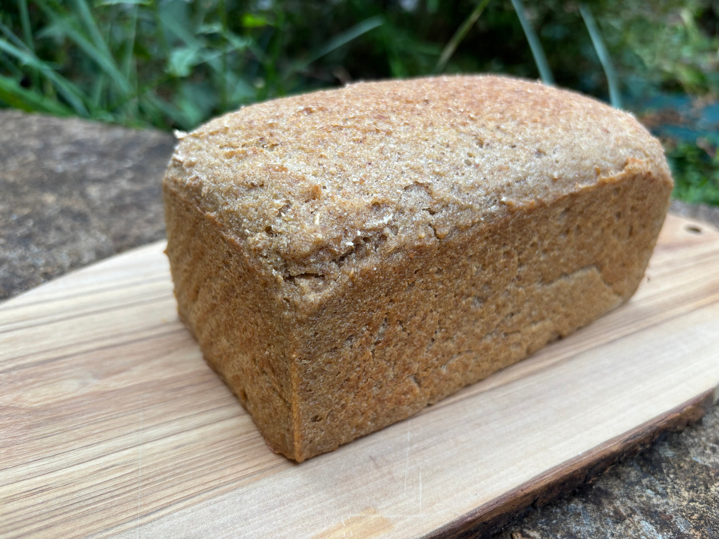 Buckwheat Teff  Sandwich Loaf (Limit 2 per order)